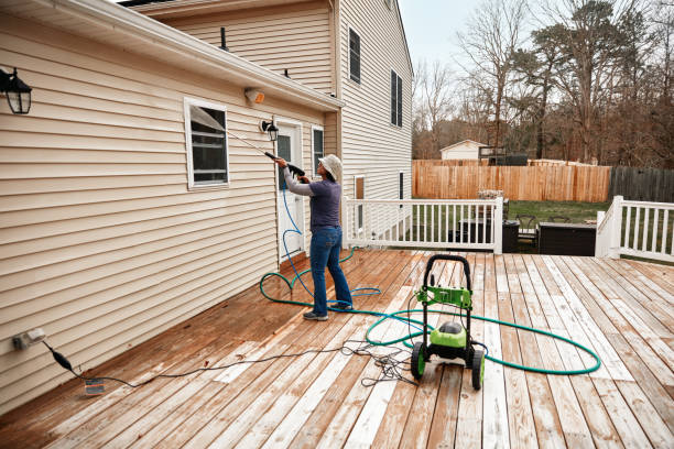 Best Deck Cleaning Services  in Belleville, MI