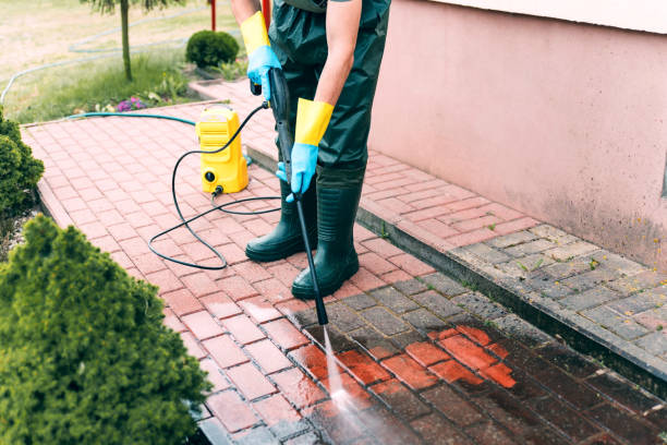 Best Roof Pressure Washing  in Belleville, MI