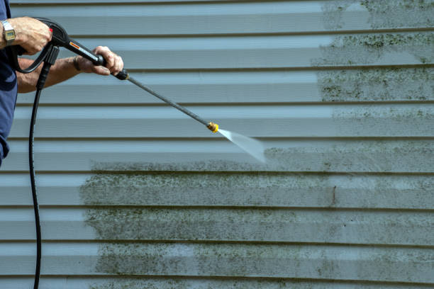 Best Deck Pressure Washing  in Belleville, MI