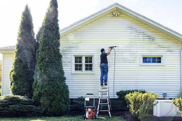 Roof Power Washing Services in Belleville, MI
