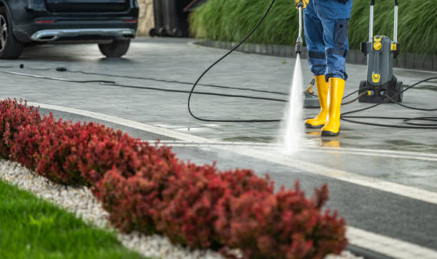Best Commercial Building Pressure Washing  in Belleville, MI