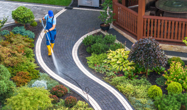 Best Power Washing Near Me  in Belleville, MI